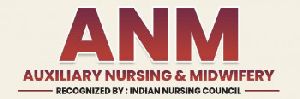 nursing anm gnm courses