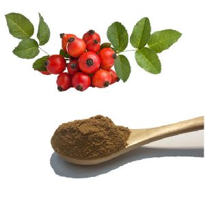 Natural Rosehip Extract Enriched With Vitamin C Veg. Capsule
