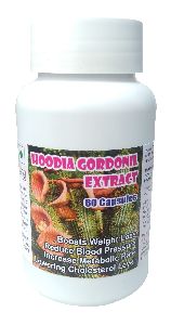 Hoodia Gordonil Extract Capsule - 60 Capsules
