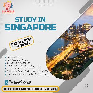 Singapore Study Visa Services