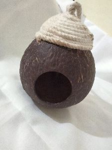 coconut shell bird house