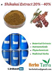 Shikakai Acacia Concinna Extract 25%