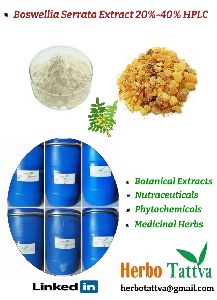 Boswellia Serrata Extract 20% HPLC