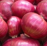 fresh onion