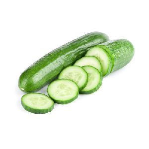Fresh Cucumber Fresh Cucumber Glodawnn Exporters Ariyalur Tamil Nadu