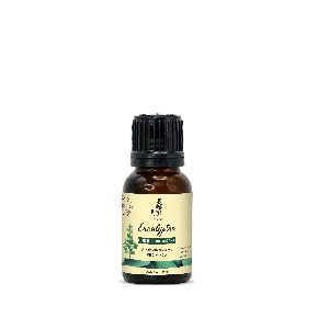 Organic Eucalyptus Essential Oil