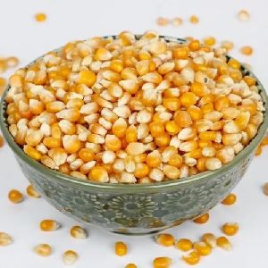 Natural Popcorn Seeds