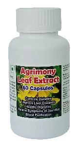 Agrimony leaf Exract Capsule - 60 Capsules