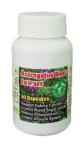 Astragalus Root Extract Capsule - 60 Capsules