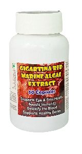Gigartina Red Marine Algae Extract Capsule - 60 Capsules