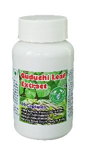 Guduchi Leaf Extract Capsule - 60 Capsules