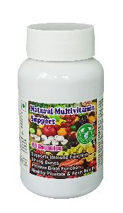Natural Multivitamin Support Capsule - 60 Capsules