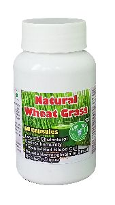 Natural Wheat Grass Capsule - 60 Capsules
