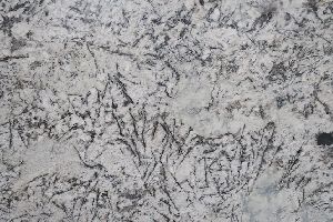 Alaska White Exotic Granite Slabs
