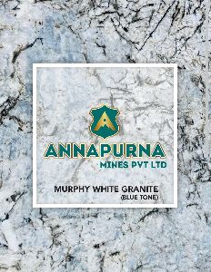 Murphy White Granite with Blue Tone Countertops
