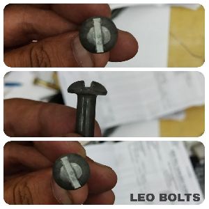 Slotted Screws