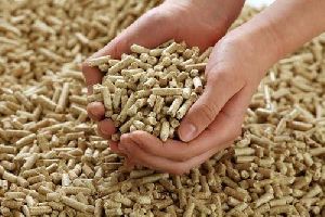 Cattle Feed Briquettes