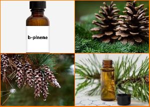 Beta Pinene Oil