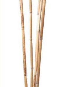 Brown Bamboo Sticks