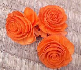 Sola Normal Beauty Rose Flower