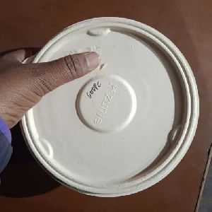 Biodegradable Container With Lid