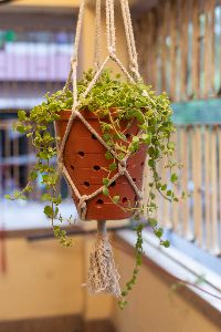 terracotta balcony garden planter