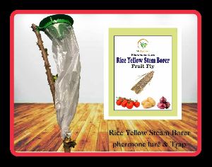 rice yellow steam fruit borer pheromone trap