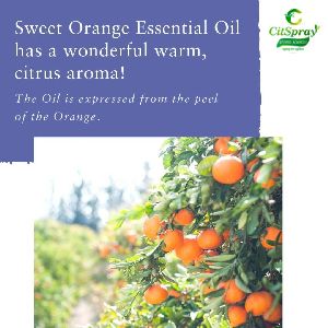 Orange Essential  Oil