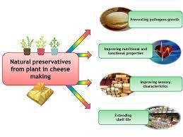 natural food preservative