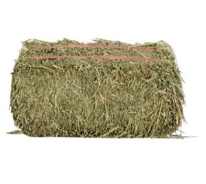 Granule Alfalfa Hay