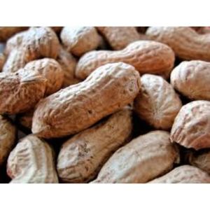 shelled organic raw peanut nuts