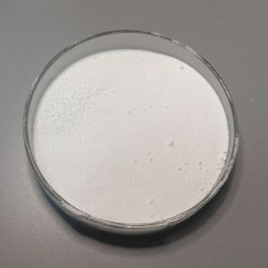 Methyl Paraben Powder