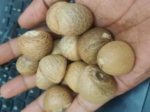 Jam Mangalore Betel Nut