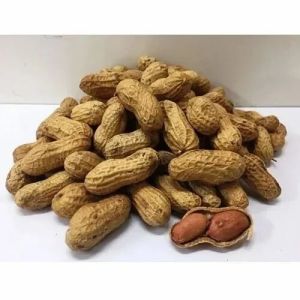 Whole Groundnut Peanut