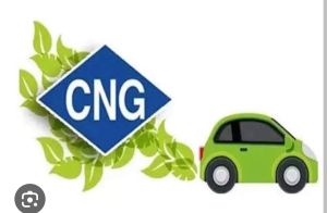 Cng pump