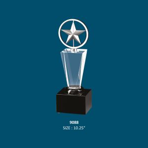 Metal Crystal Star Award