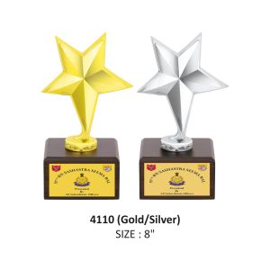 Customized Metal Star Trophy