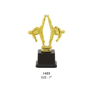 karate trophy