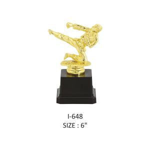 single man karate trophy