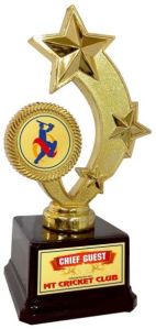 Star Trophy Trophy