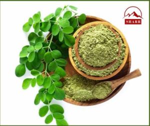 moringa leaves powder