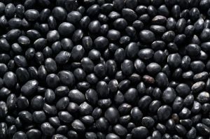Dried Black Bean