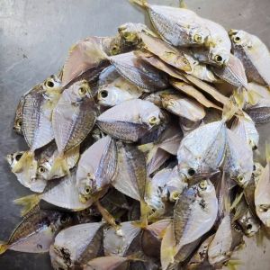 dried silver belly dry fish