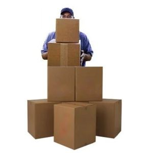 Packer And Mover Service