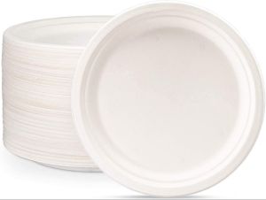 10&amp;quot; Plain biodegradable Paper Plates
