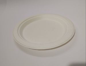 9 plain Biodegradable Paper plates