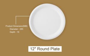 Plain - 12 Bagasse plates