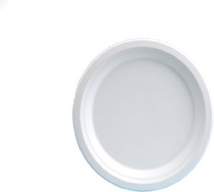 Plain - 9 Bagasse plates
