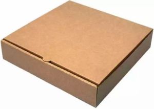 White Brown Paper Pizza Box 10X10X1.5 (Food Grade)