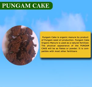 Pungam Cake